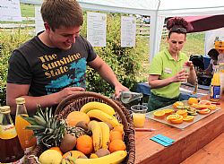 Cocktails, gesund sowieso, aber auch extrem lecker.